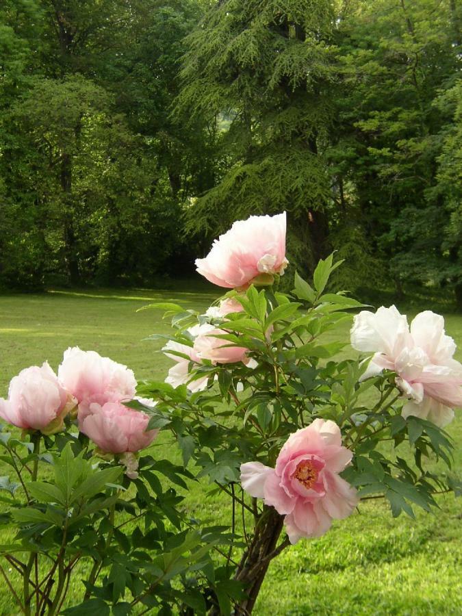 Отель Le Domaine De Pomone Woinville Экстерьер фото
